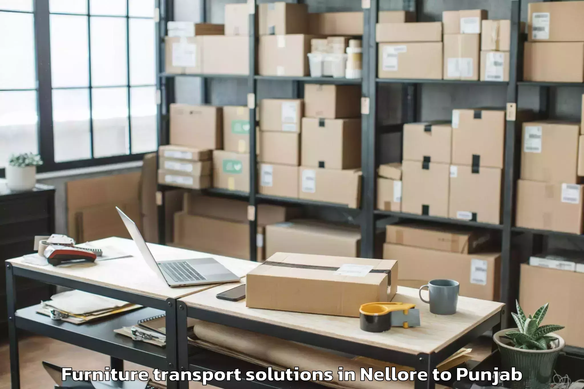 Book Nellore to Siswan Furniture Transport Solutions Online